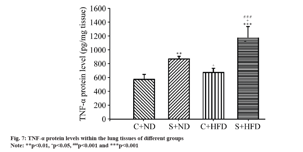 IJPS-tissues