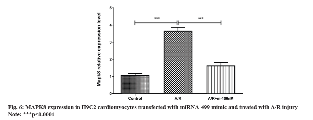 IJPS-transfected