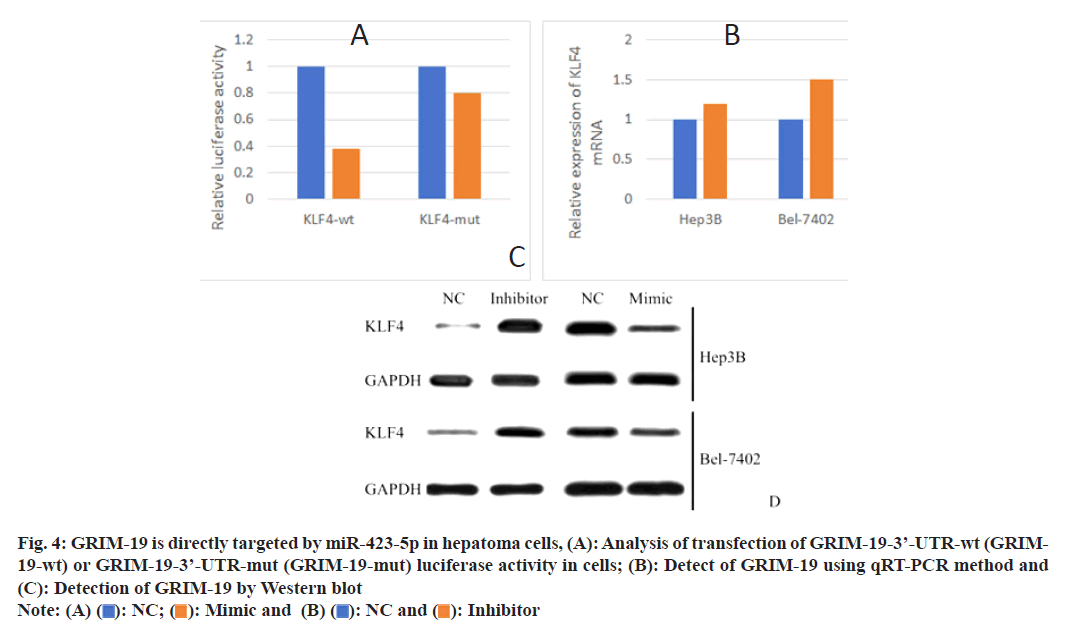 IJPS-western-blot