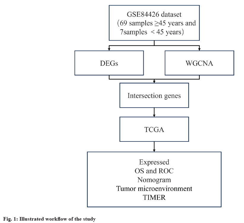 IJPS-workflow