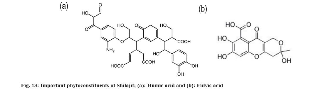 Shilajit