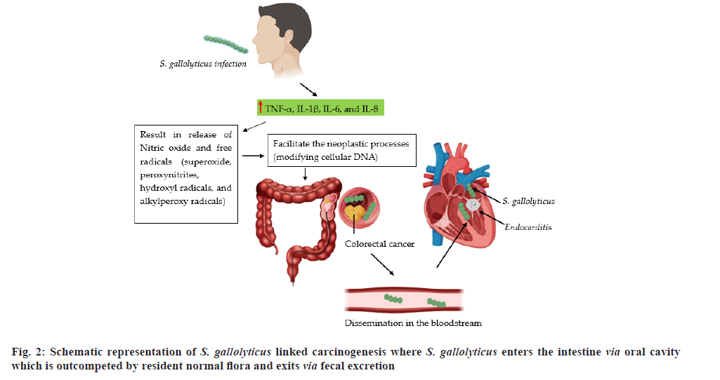 carcinogenesis