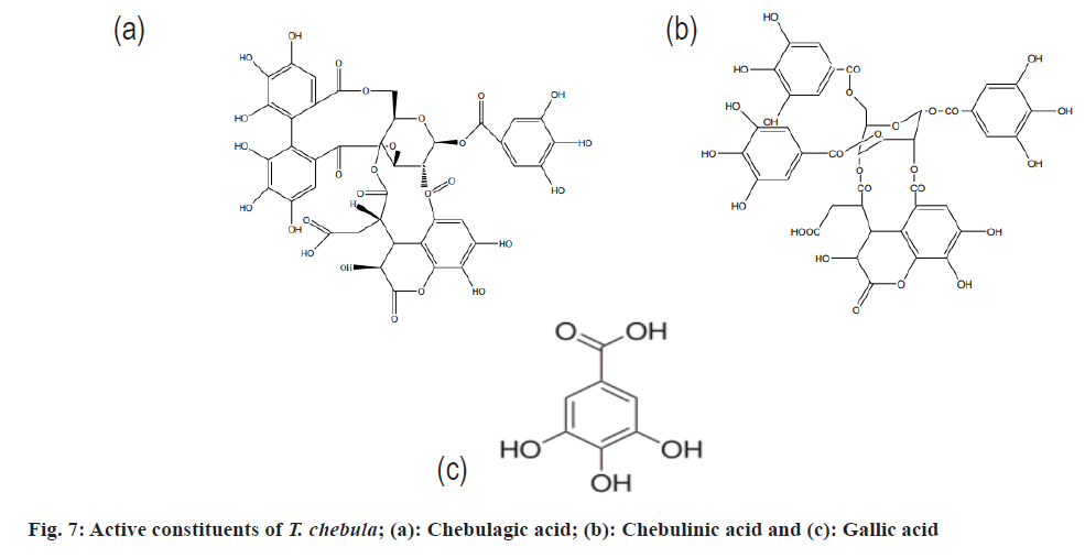 chebula