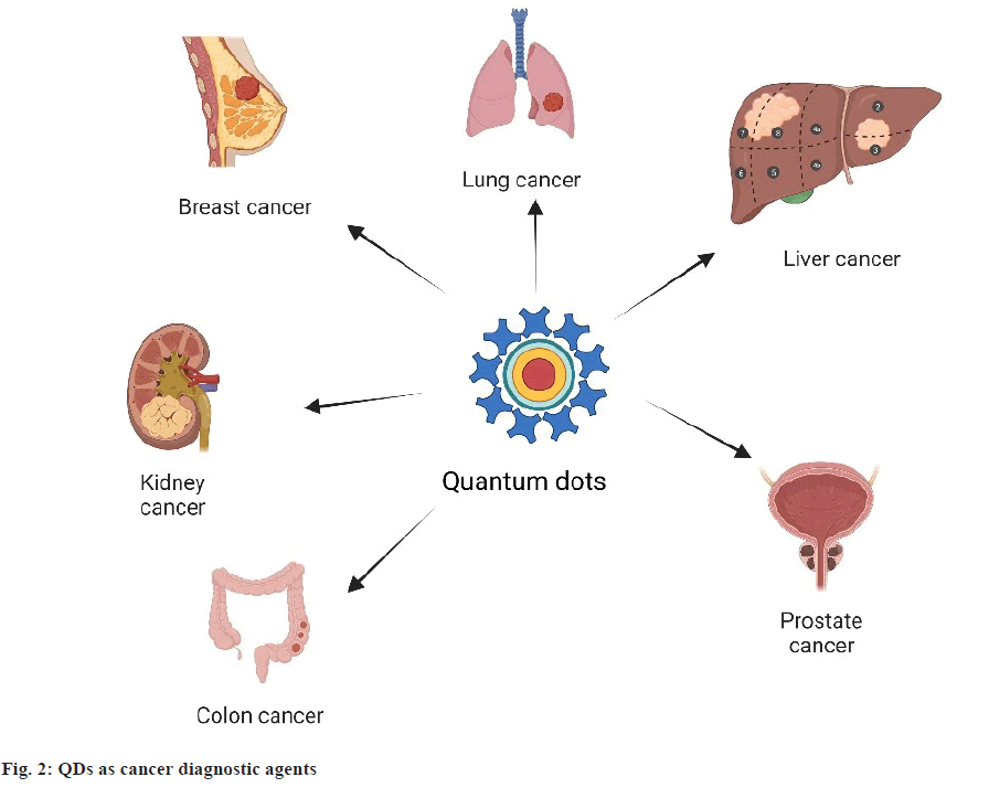 diagnostic