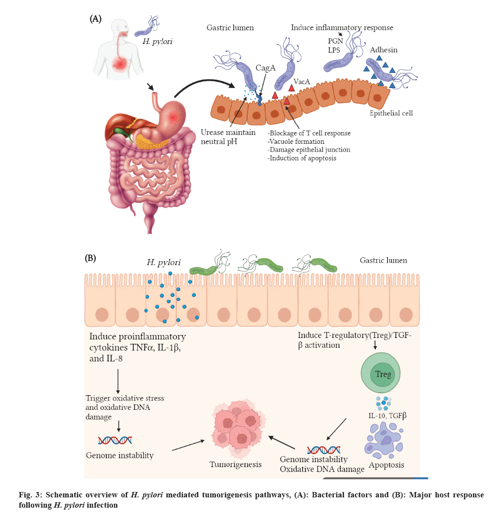 tumorigenesis