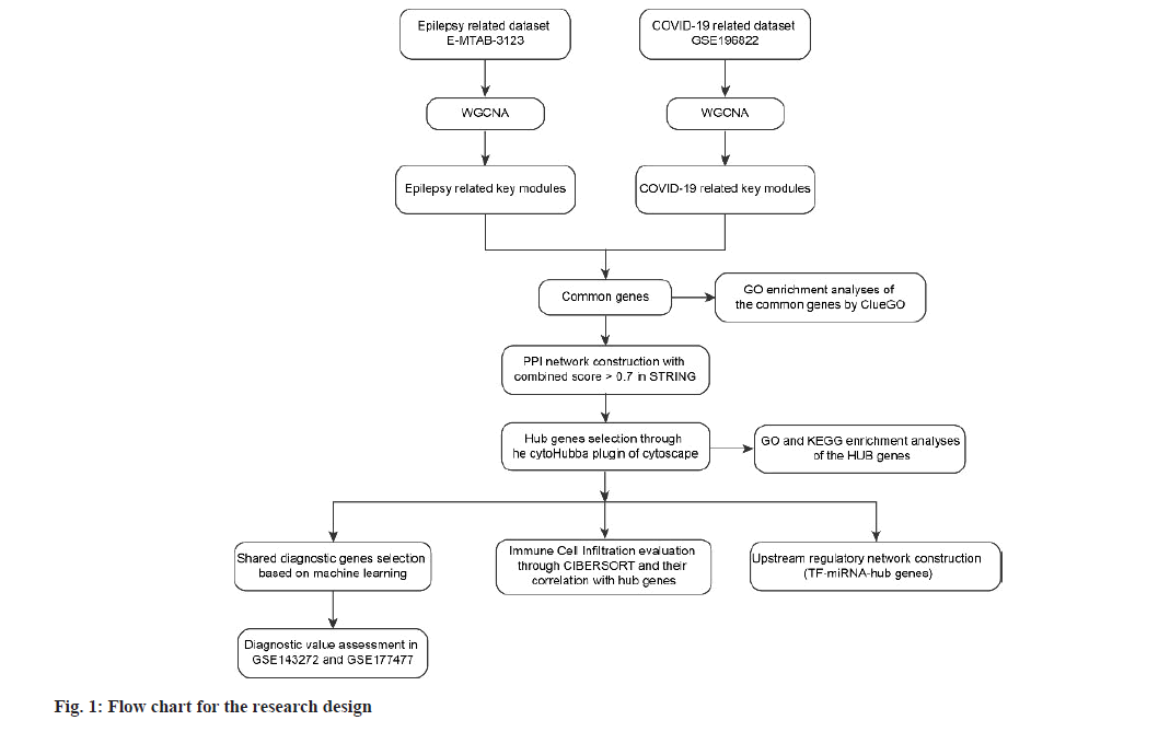 pharmaceutical-sciences-design