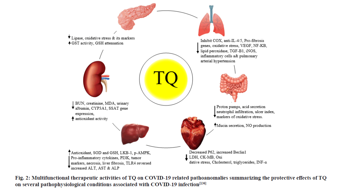 pharmaceutical-sciences-effect