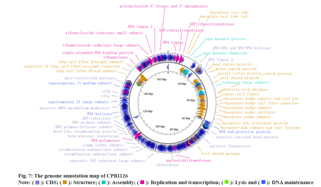 pharmaceutical-sciences-map