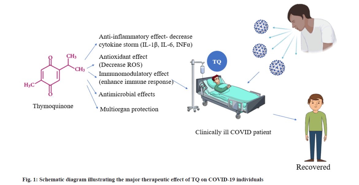 pharmaceutical-sciences-multi