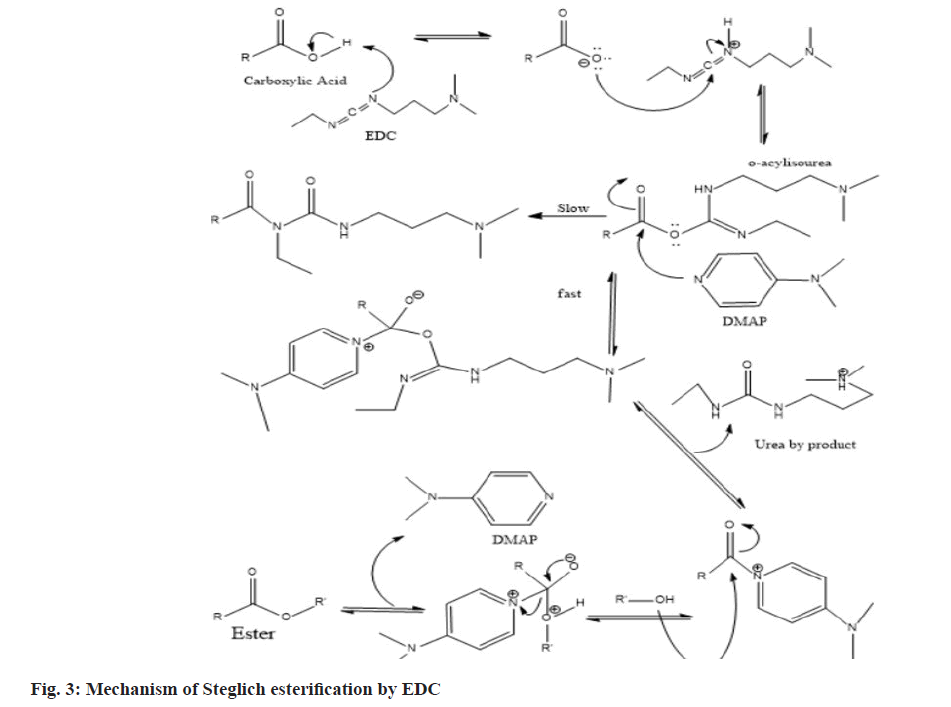 pharmaceutical-sciences-steg