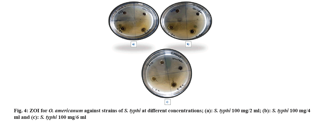 pharmaceutical-sciences-strain