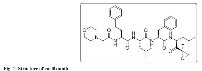 pharmaceutical-sciences-struct