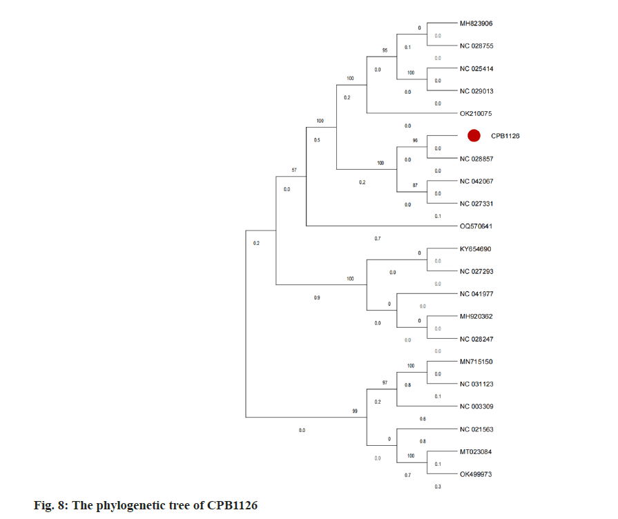 pharmaceutical-sciences-tree